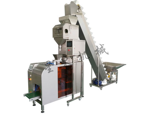 全自動(dòng)單工位顆粒定量包裝機(jī)