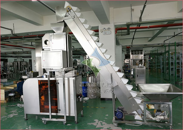 全自動(dòng)單工位顆粒定量包裝機(jī)