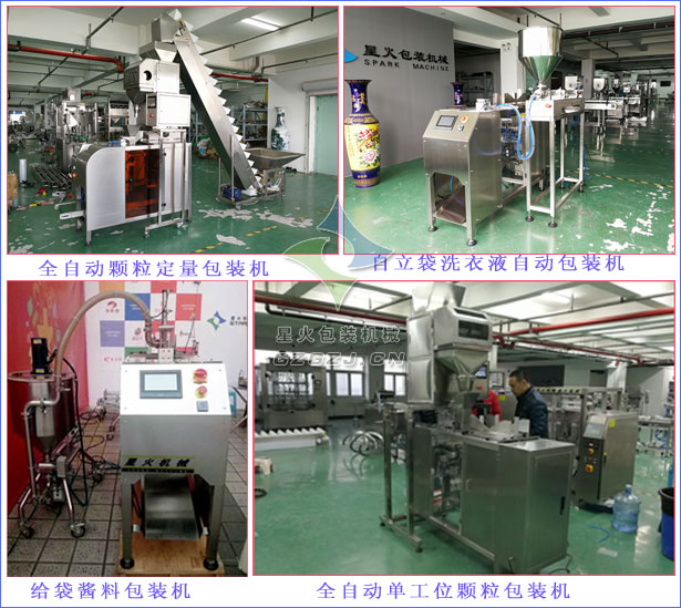 全自動(dòng)顆粒定量包裝機(jī),自立袋洗衣液自動(dòng)包裝機(jī),給袋醬料包裝機(jī),全自動(dòng)單工位顆粒包裝機(jī)