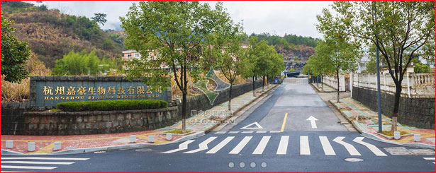 黑芝麻糊包裝機(jī),豆奶粉自動(dòng)包裝機(jī)