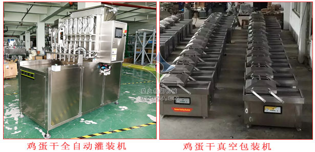 雞蛋干全自動灌裝機(jī),雞蛋干蛋液灌裝機(jī)