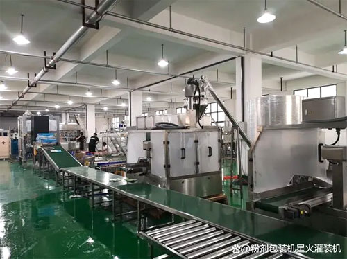 袋裝自動(dòng)包裝機(jī)