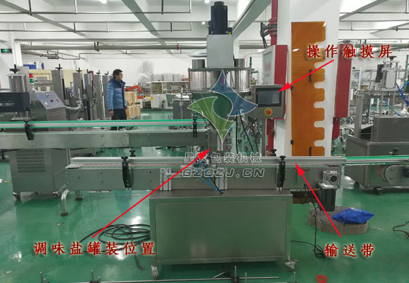 調(diào)味鹽灌裝機(jī),全自動(dòng)調(diào)味鹽灌裝機(jī)
